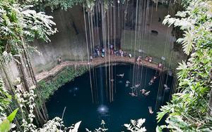 Thumbnail for Out of the world Cenotes in Mexico