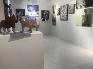 Javier Román Gallery