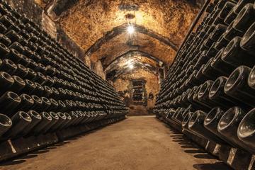 Cavas Freixenet