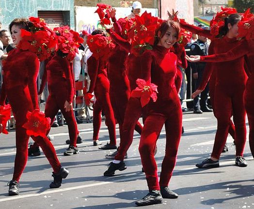 Xmas Parade Mexico City