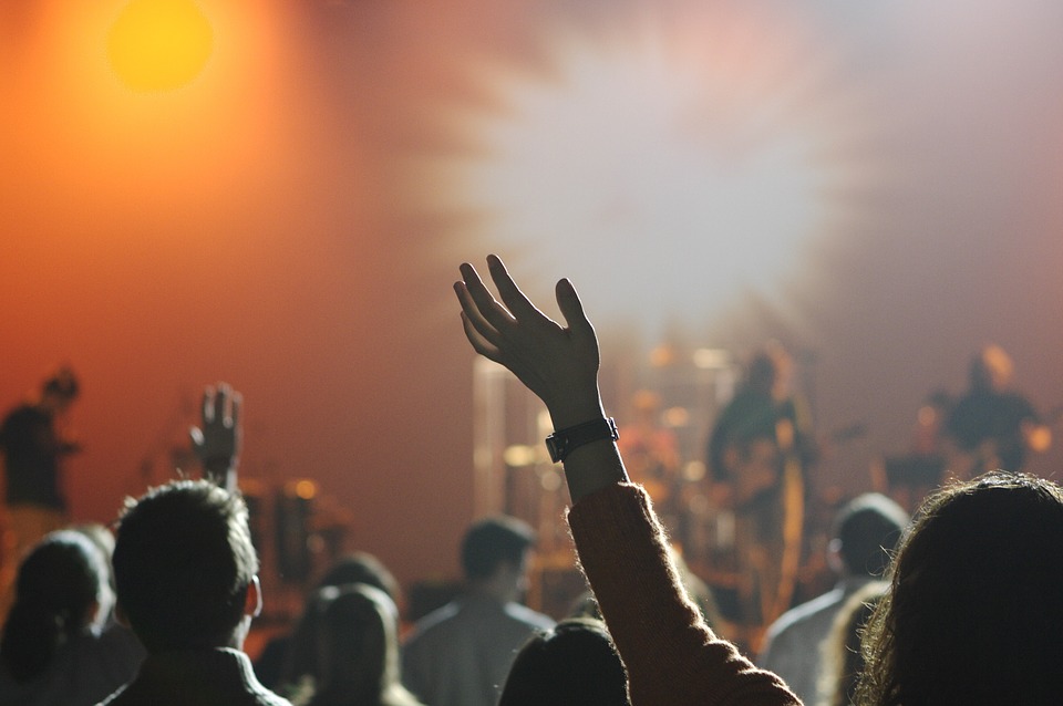 Music concert audience