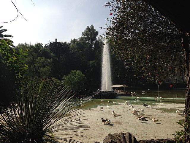 Park in Mexico City. Credit: Creative Commons/Lorena Chavira Alvarez 