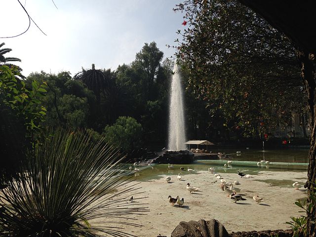 Park in Mexico City. Credit: Creative Commons/Lorena Chavira Alvarez