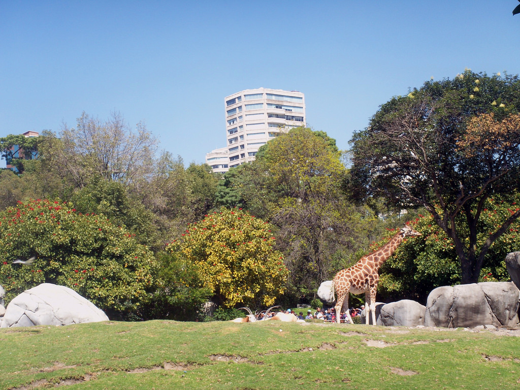 Chapultepec Zoo