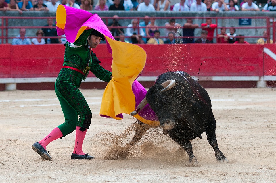 Bullfighting