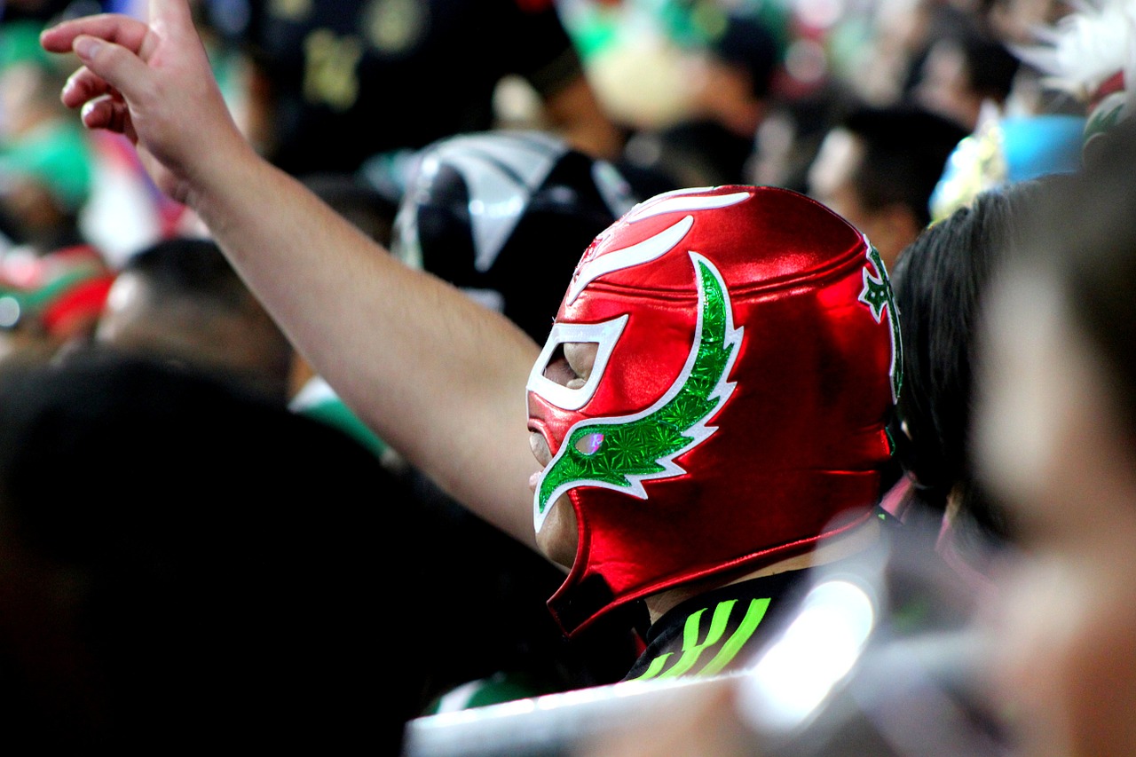 Mexico City Mask Lucha libre Mask