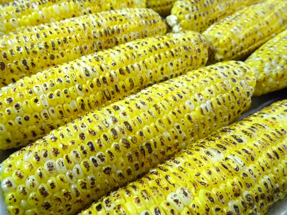 Elote
