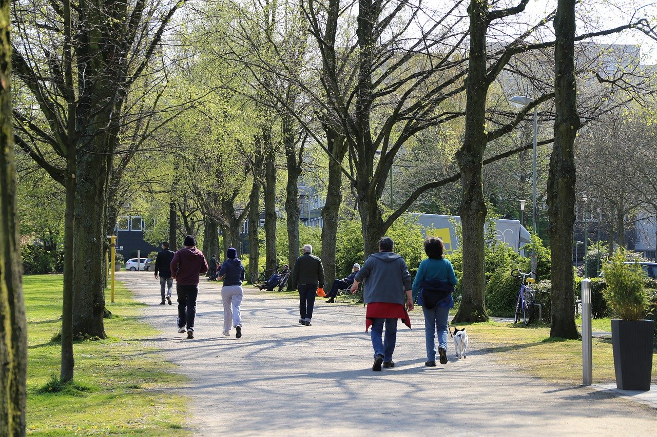 personnes marchant dans le parc