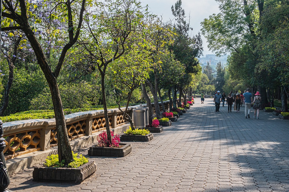 Bosque de Chapultepec