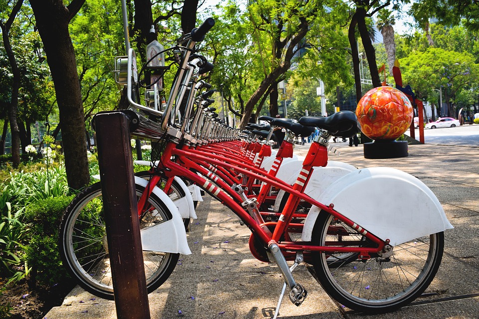 Bicycles in Mexico City Park