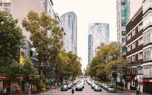 Thumbnail for Best Things to Do in Mexico City During Winter