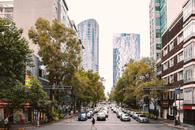 Thumbnail for Best Things to Do in Mexico City During Winter