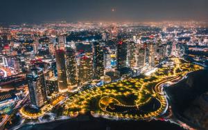 Thumbnail for Where to Shop Eat and Stroll in Mexico City's Best Neighborhoods