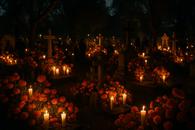 Thumbnail for Ofrendas Beyond the Zócalo: Day of the Dead in Mixquic, Xochimilco and Coyoacán